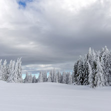 Pamporovo resort, winter, winter landscape in the Rhodope Mountains, Smolyan Region