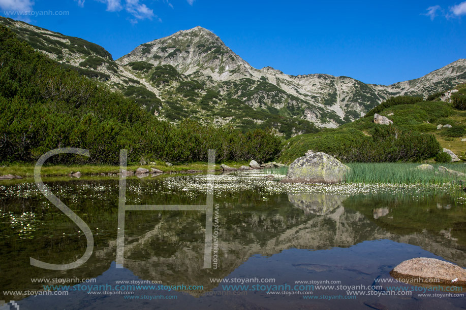 Хвойнати Връх и отражението му в планински езеро, Пирин