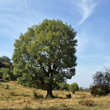 Стара Планина, около Ябланица