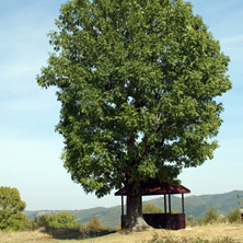 Стара Планина, около Ябланица