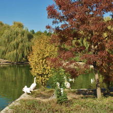 Езеро с пеликани, Софийски зоопарк - Снимки от България, Курорти, Туристически Дестинации