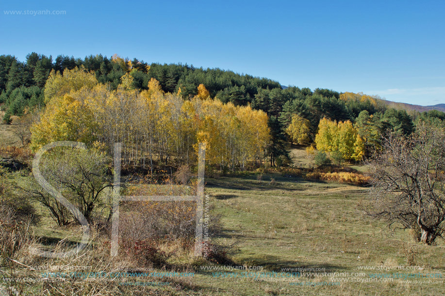 Язовир Батак, Пазарджишка област