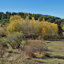 Язовир Батак, Пазарджишка област - Снимки от България, Курорти, Туристически Дестинации