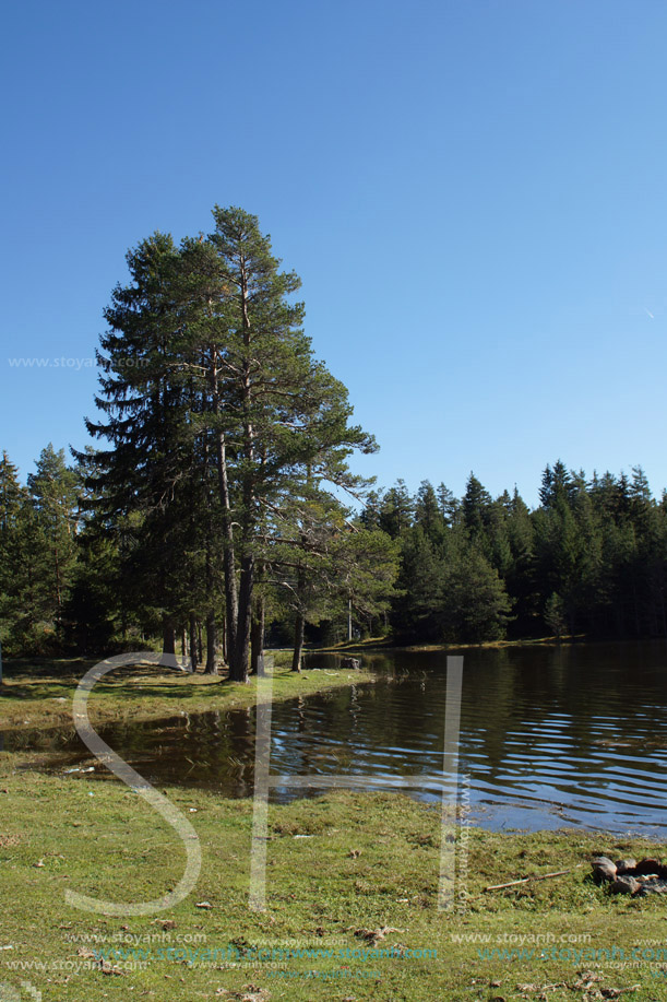 Язовир Широка Поляна, Пазарджишка област