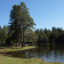 Язовир Широка Поляна, Пазарджишка област