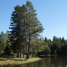 Язовир Широка Поляна, Пазарджишка област