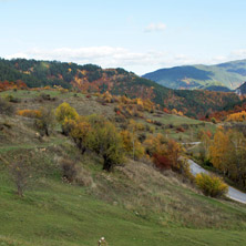 Есенен пейзаж, Родопа планина, Смолянска област