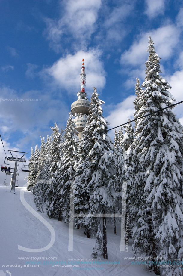 Курорт Пампорово, Зимен Пейзаж, Родопи, Смолянска област