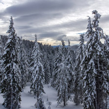 Курорт Пампорово, Зимен Пейзаж, Смолянска област