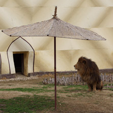 Софийски зоопарк, Лъв - Снимки от България, Курорти, Туристически Дестинации