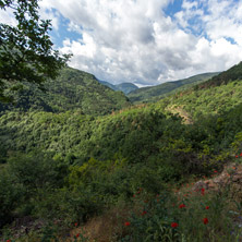 Планина Родопи, Пловдивска Област - Снимки от България, Курорти, Туристически Дестинации