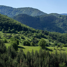 Планина Родопи, Близо село Борово, Пловдивска Област - Снимки от България, Курорти, Туристически Дестинации