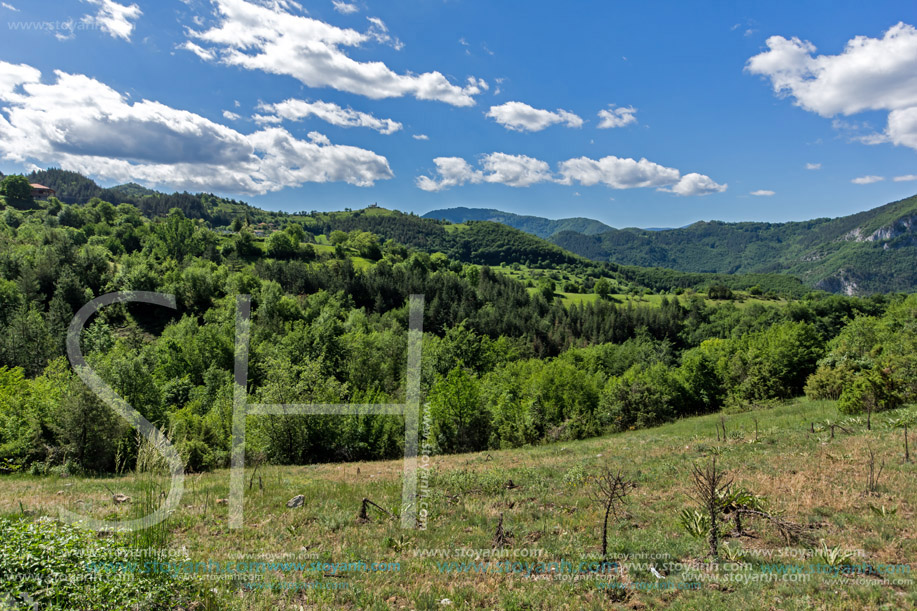 Планина Родопи, Близо село Борово, Пловдивска Област