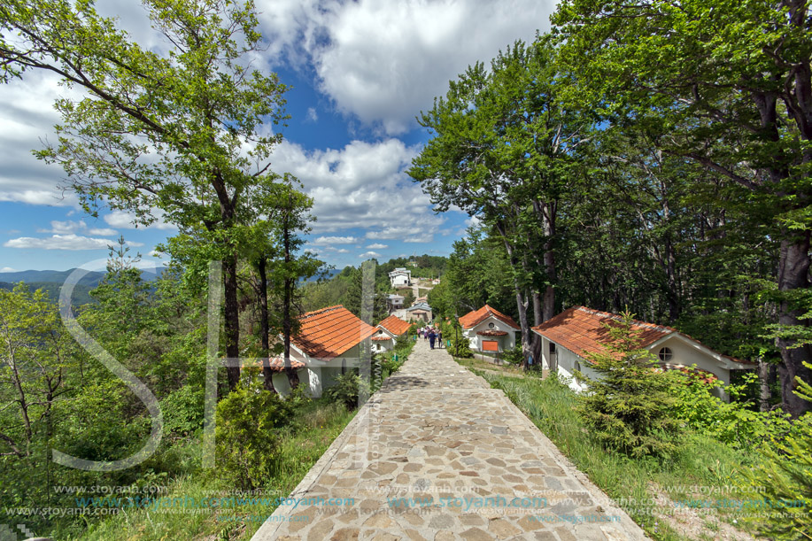 Кръстова Гора, Пловдивска Област