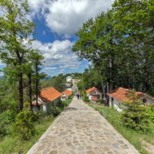 Кръстова Гора, Пловдивска Област