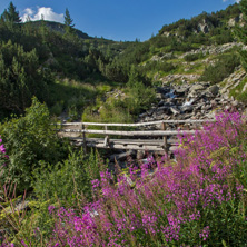 Планинска Река близо до Хижа Вихрен , Пирин - Снимки от България, Курорти, Туристически Дестинации