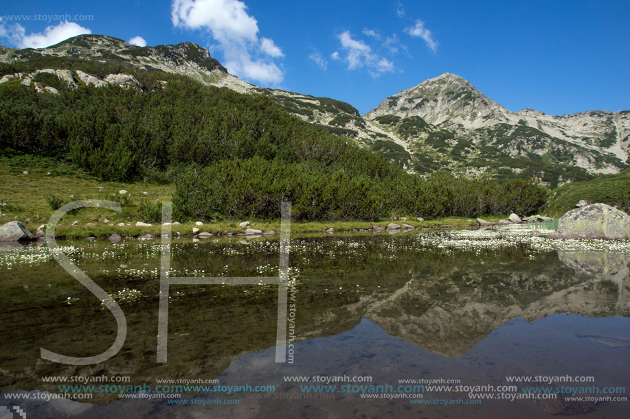 Хвойнати Връх и отражението му в планински езеро, Пирин