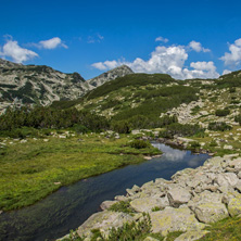 Планинска Река и Хвойнати Връх, Пирин - Снимки от България, Курорти, Туристически Дестинации