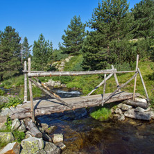 Дървен мост над козя Река, Пирин - Снимки от България, Курорти, Туристически Дестинации