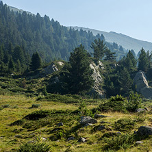 Близо До хижа Каменица (Беговица), Пирин