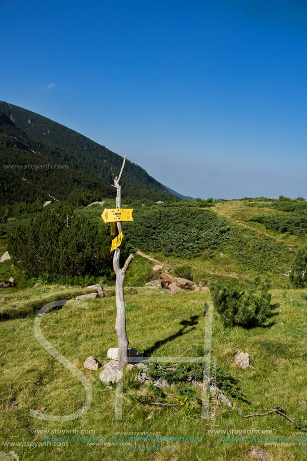 Близо До хижа Каменица (Беговица), Пирин