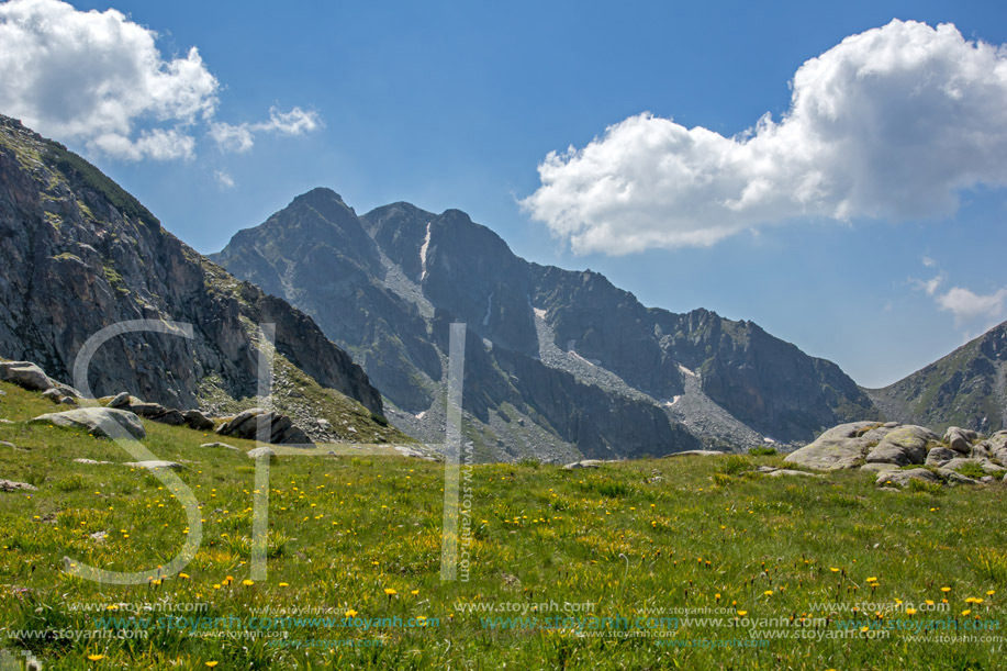 Връх Яловарника, Пирин