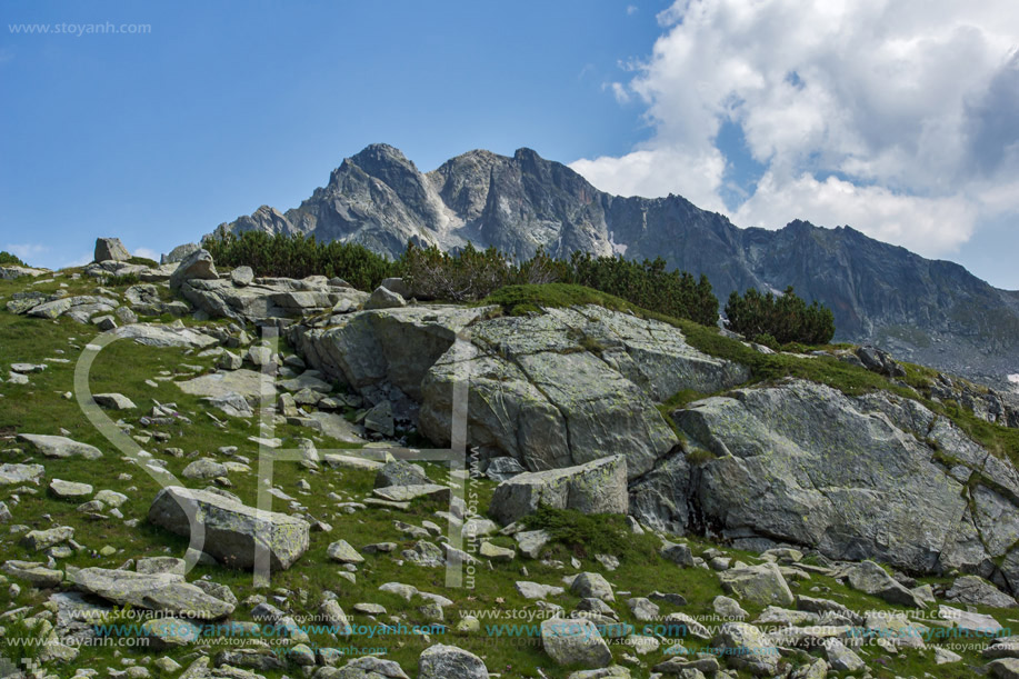 Връх Яловарника, Пирин