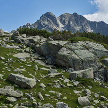 Връх Яловарника, Пирин