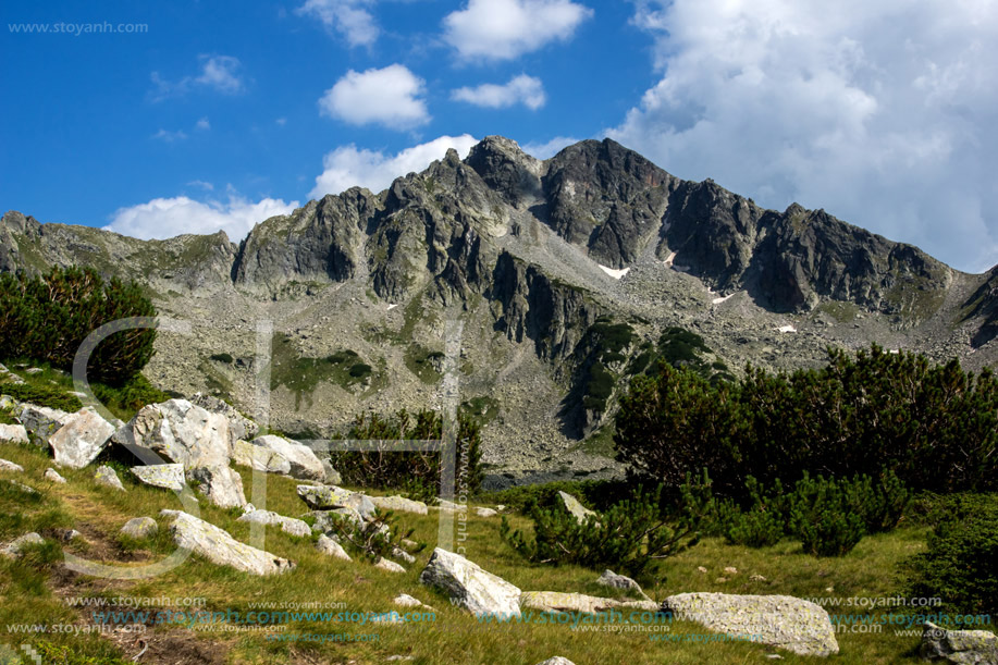 Връх Яловарника, Пирин