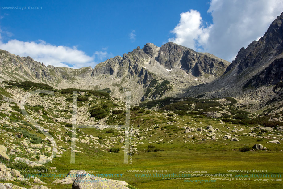 Връх Яловарника, Пирин