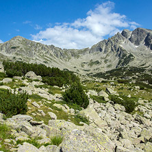 Връх Яловарника, Пирин