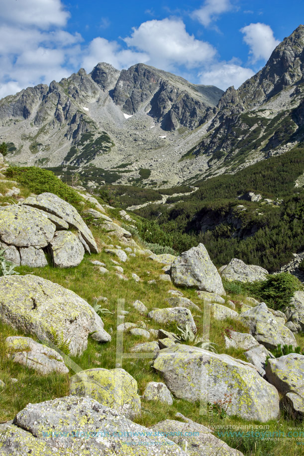 Връх Яловарника, Пирин