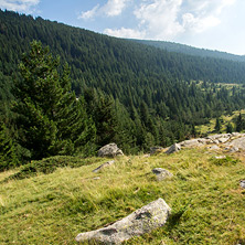 Пътеката от хижа Каменица (Беговица) до Тевно Езеро, Пирин - Снимки от България, Курорти, Туристически Дестинации