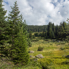 Близо До хижа Каменица (Беговица), Пирин