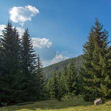 Близо До хижа Каменица (Беговица), Пирин - Снимки от България, Курорти, Туристически Дестинации