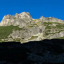Камилата, Рила