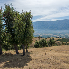 Планина Огражден