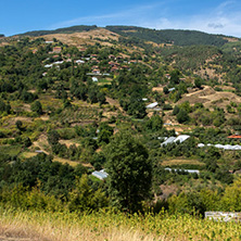 Село Гега, Благоевградска област