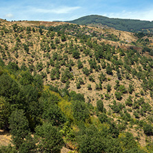 Планина Огражден - Снимки от България, Курорти, Туристически Дестинации