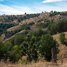 Планина Огражден, Пейзаж
