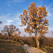 Хисаря, Тракийска гробница, Област Пловдив