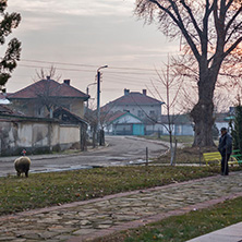 Село Старо Железаре, Област Пловдив