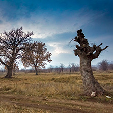 Залез в Средна Гора, близо до Село Старосел, Област Пловдив