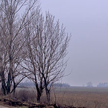 Горнотракийска низина, Област Пловдив
