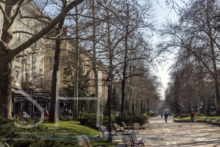 Димитровград, Главна Улица,   Област Хасково