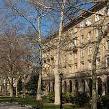 Димитровград, Главна Улица,   Област Хасково