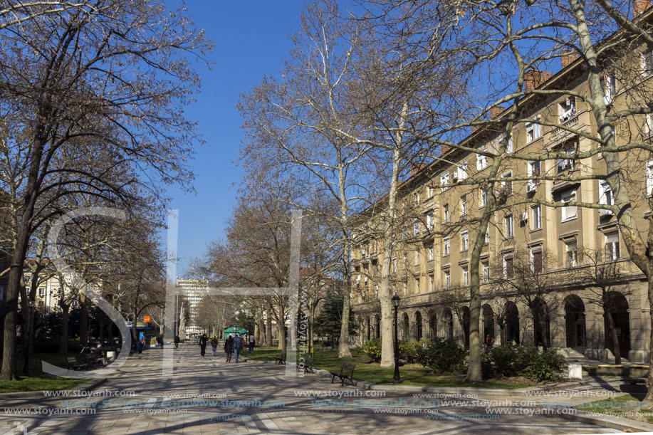 Димитровград, Главна Улица,   Област Хасково