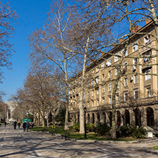 Димитровград, Главна Улица,   Област Хасково