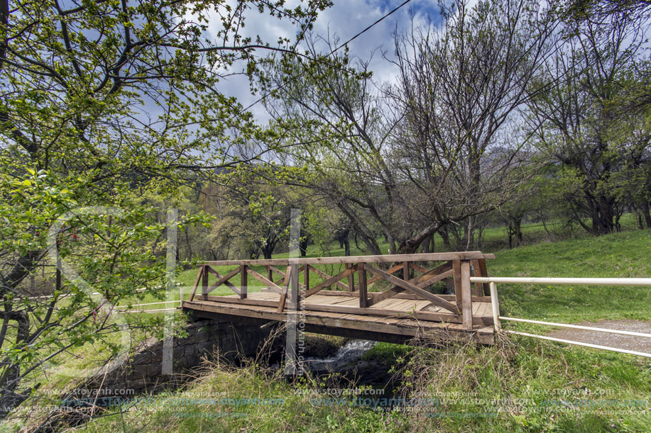 Стара Планина близо до село Заселе, Вазова Екопътека, София Област