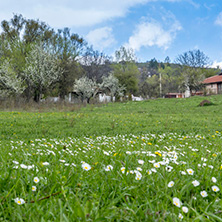 Село Заселе, София Област